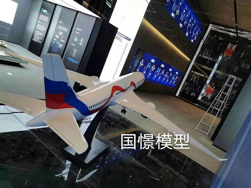 惠水县飞机模型