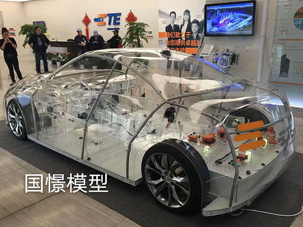 惠水县透明车模型